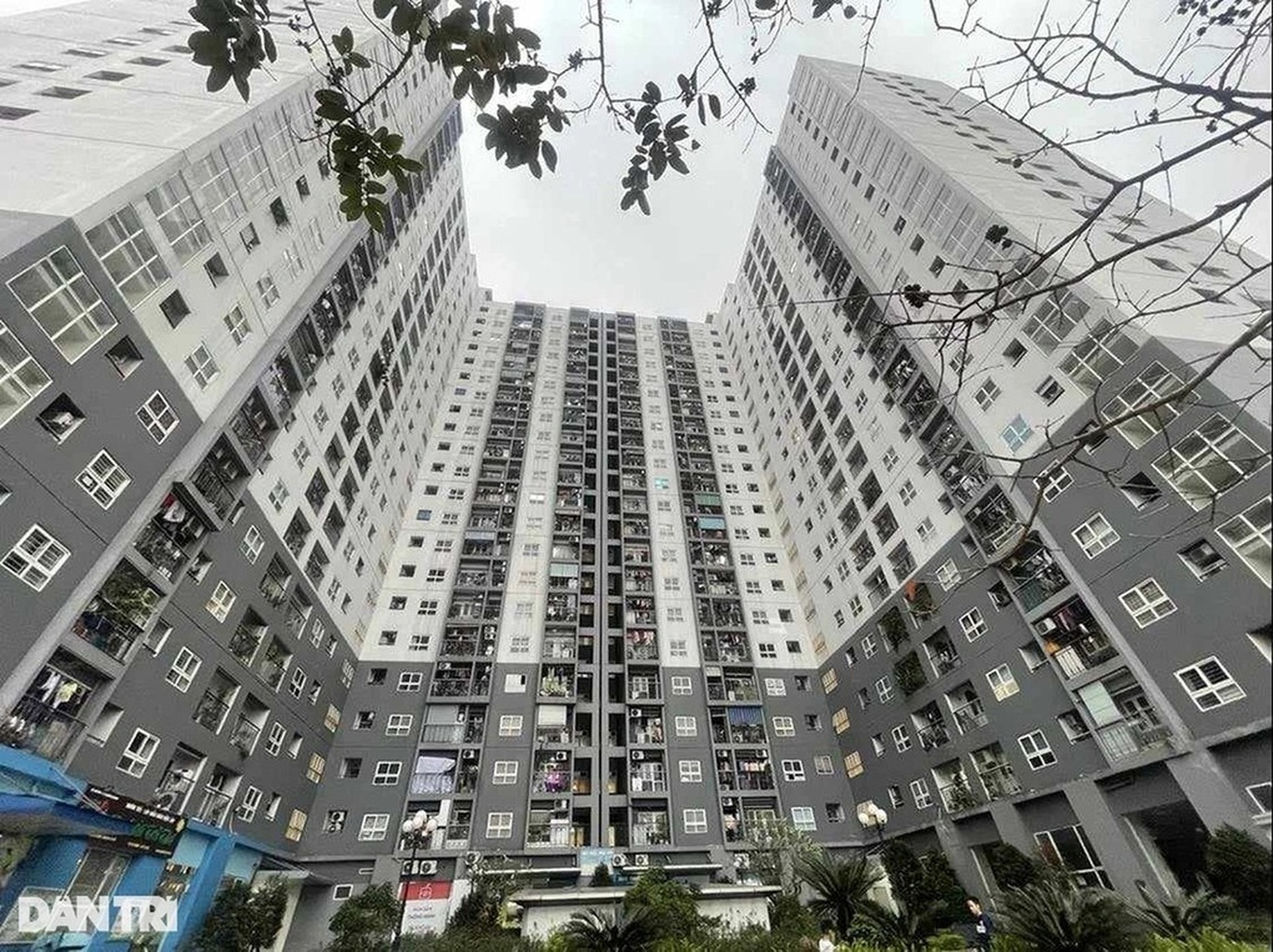 Cụ thể, trường hợp chưa có nhà ở thuộc sở hữu của mình được xác định khi đối tượng quy định tại khoản 1 điều 77 của Luật Nhà ở và vợ hoặc chồng của đối tượng đó (nếu có) được xác định là không có tên hoặc không có nội dung thông tin về nhà